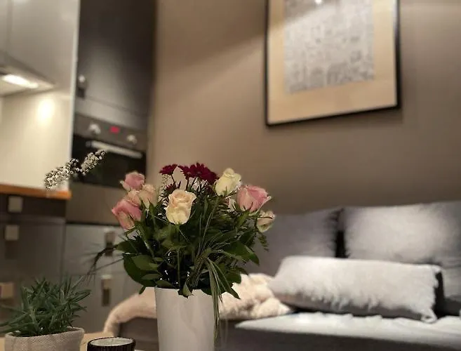 Luxury Beautiful Spacious In Perfect Location Apartment Prague