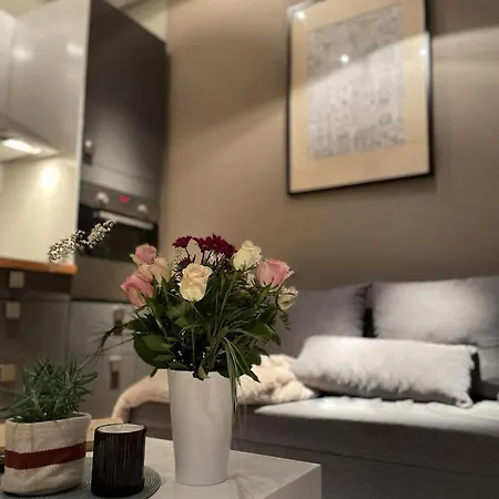Luxury Beautiful Spacious In Perfect Location Apartmán Praha